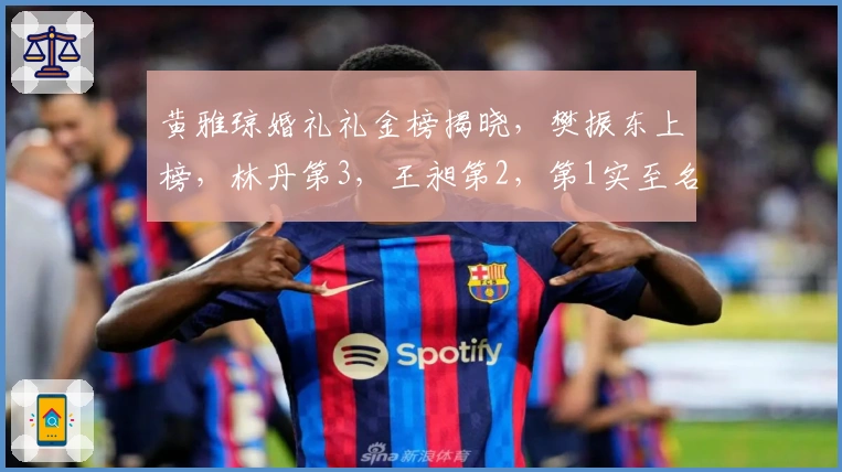 黄雅琼婚礼礼金榜揭晓，樊振东上榜，林丹第3，王昶第2，第1实至名归
