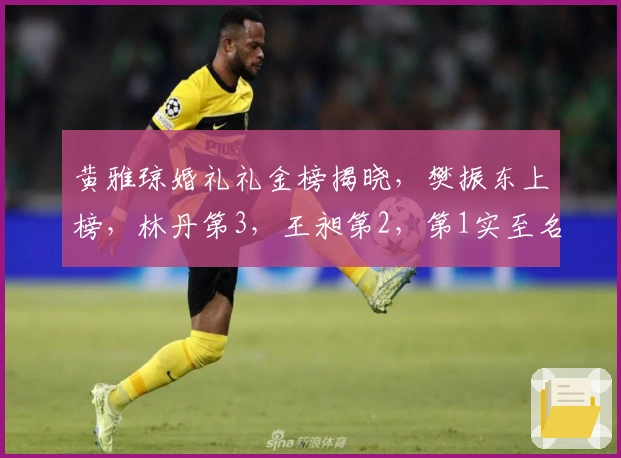 黄雅琼婚礼礼金榜揭晓，樊振东上榜，林丹第3，王昶第2，第1实至名归