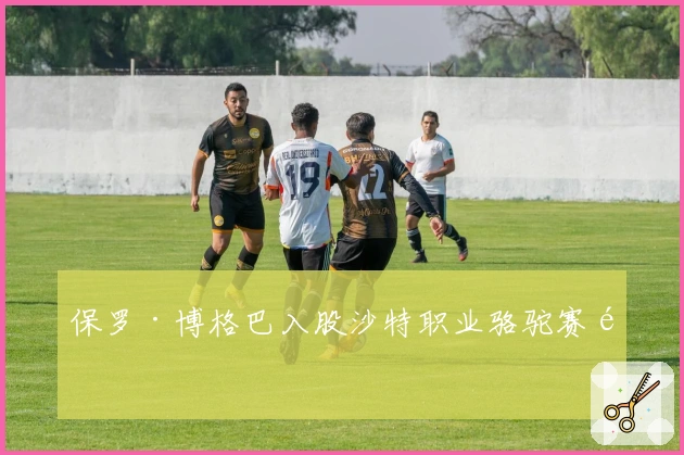 保罗·博格巴入股沙特职业骆驼赛队