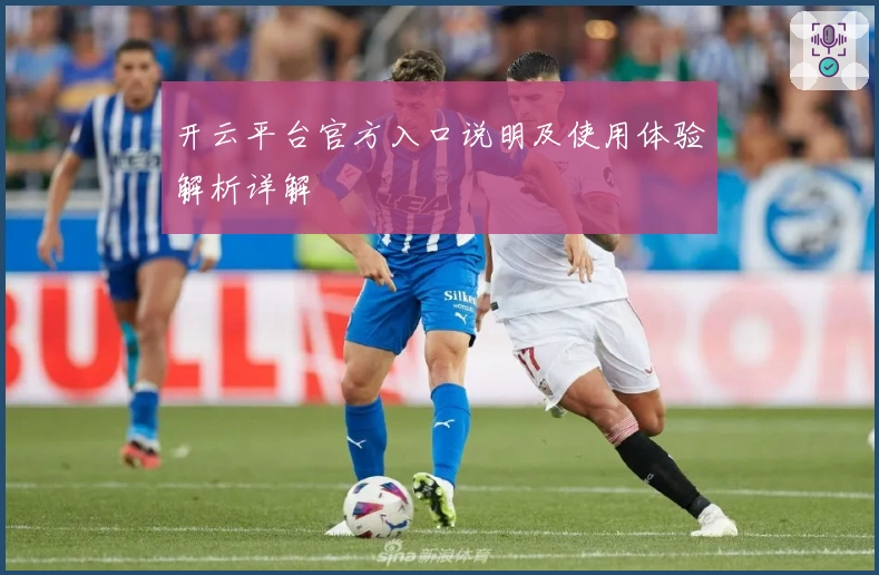 开云平台官方入口说明及使用体验解析详解