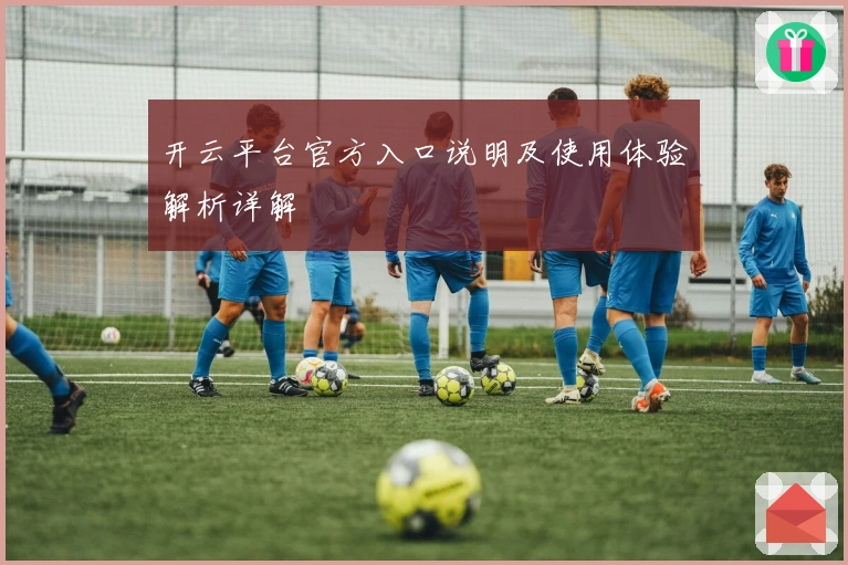 开云平台官方入口说明及使用体验解析详解